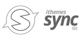 Port Elizabeth Web Design - Port Elizabeth Website Design ithemes-sync